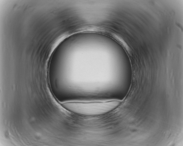 X0000095941483200801110844
