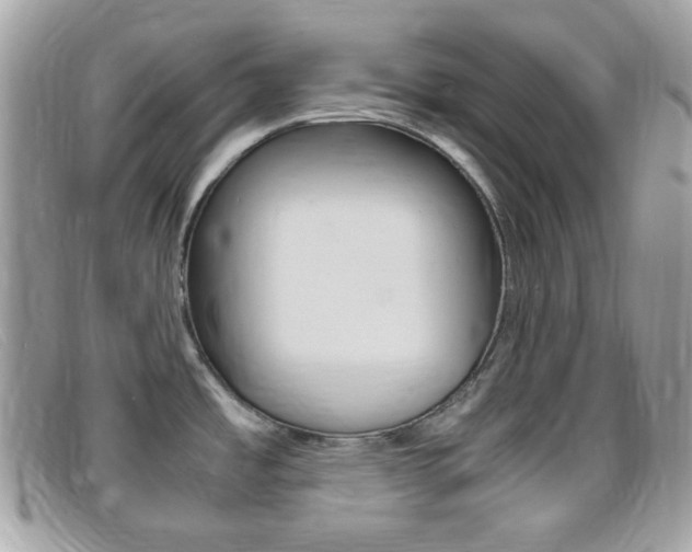 X0000095941485200801110844