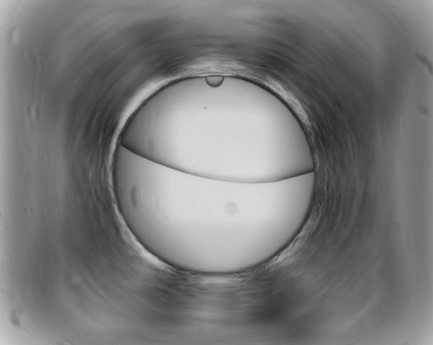 X0000095941486200801110844