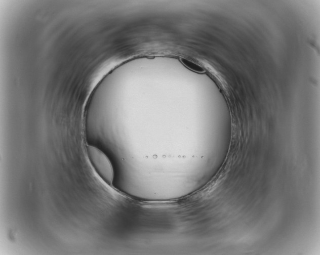 X0000095941487200801110844