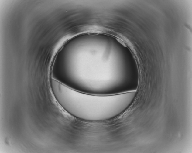 X0000095941488200801110844