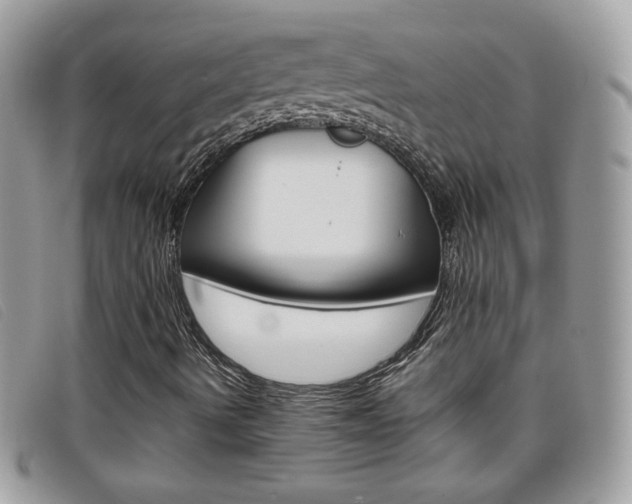 X0000095941490200801110843