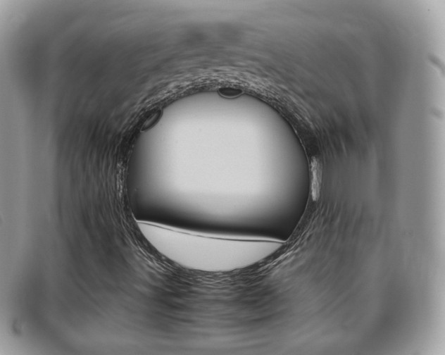 X0000095941491200801110843