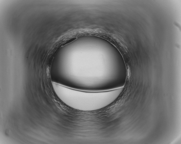 X0000095941492200801110843