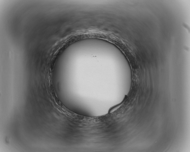 X0000095941493200801110843