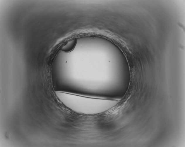 X0000095941494200801110843