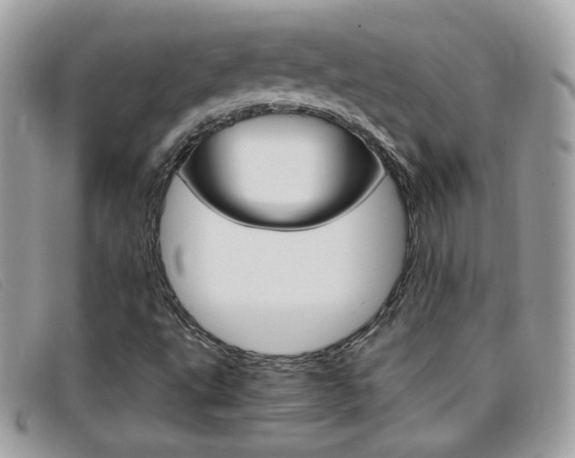 X0000095941495200801110843