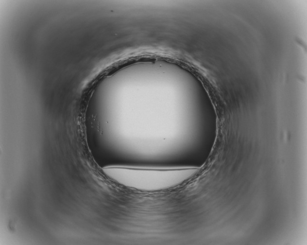 X0000095941496200801110843