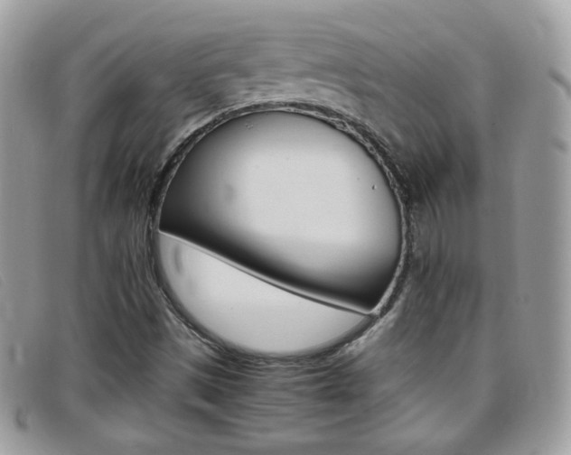 X0000095941497200801110843