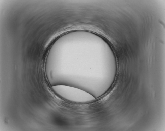 X0000095941498200801110843