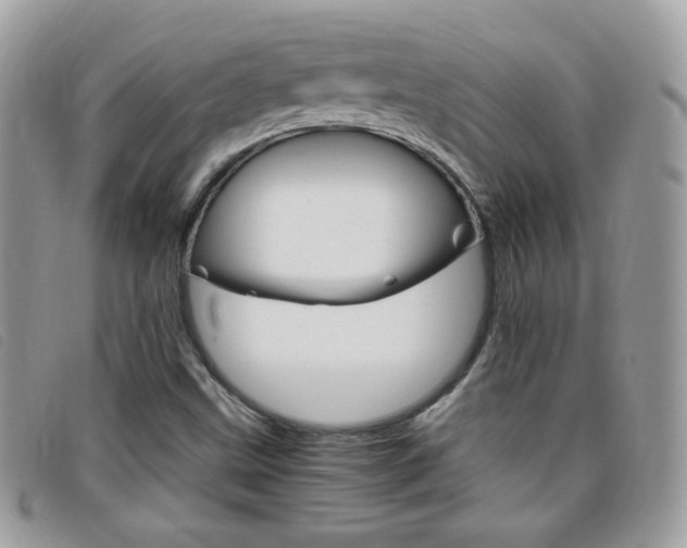 X0000095941499200801110843