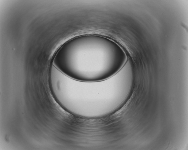X0000095941500200801110843