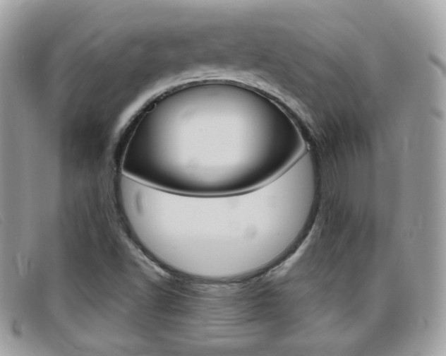 X0000095941502200801110843