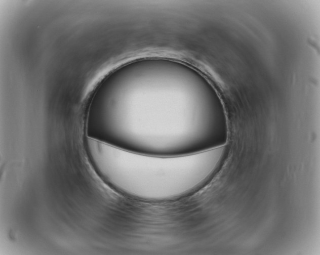 X0000095941504200801110843