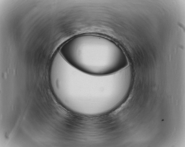 X0000095941505200801110843