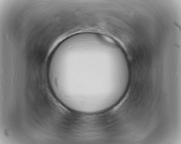 X0000095941506200801110843