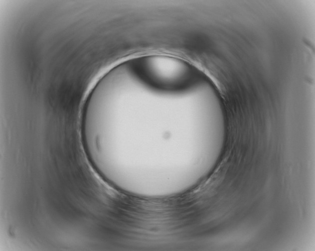X0000095941508200801110843