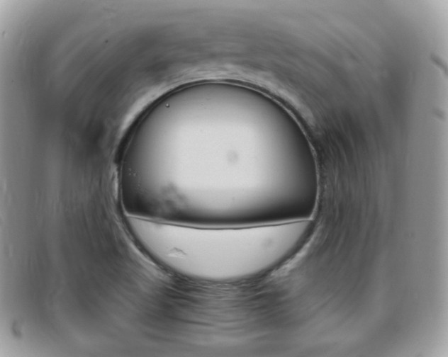 X0000095941509200801110843