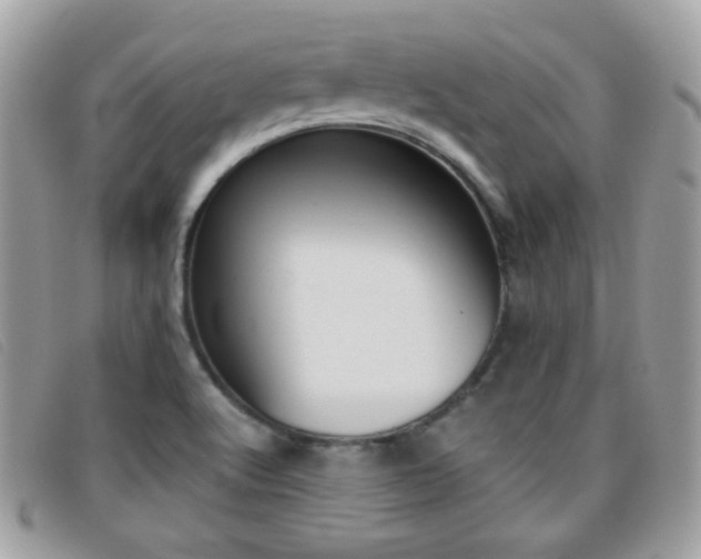 X0000095941512200801110843