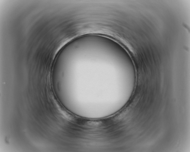 X0000095941513200801110843