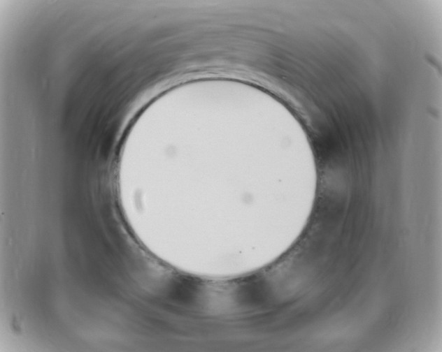 X0000095941514200801110843