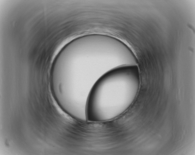 X0000095941515200801110843