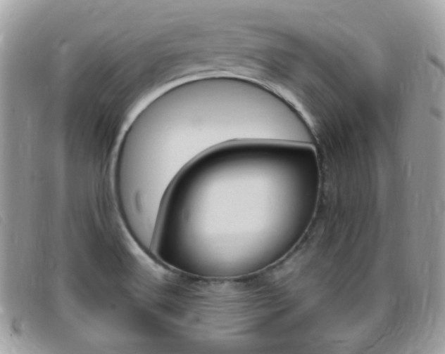 X0000095941516200801110843