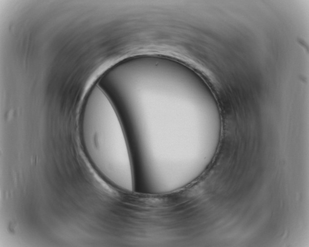 X0000095941517200801110843