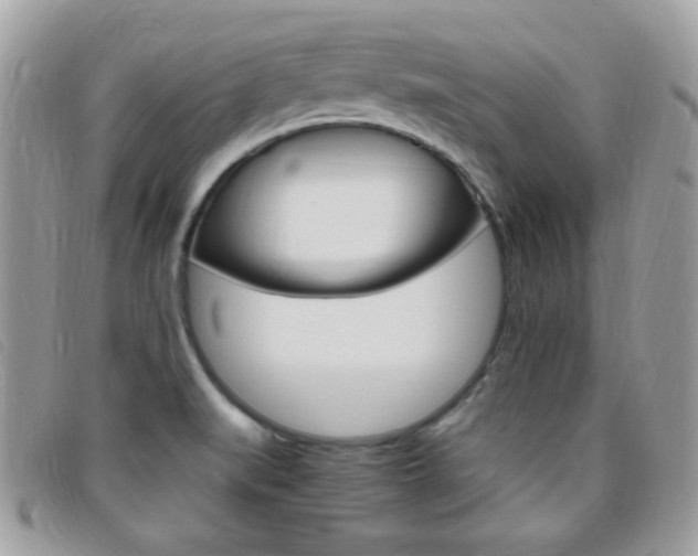 X0000095941519200801110843