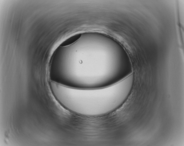X0000095941520200801110843