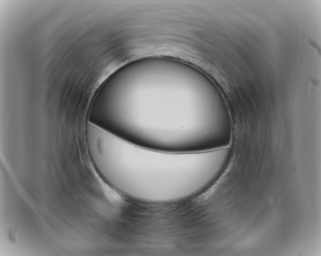 X0000095941521200801110843