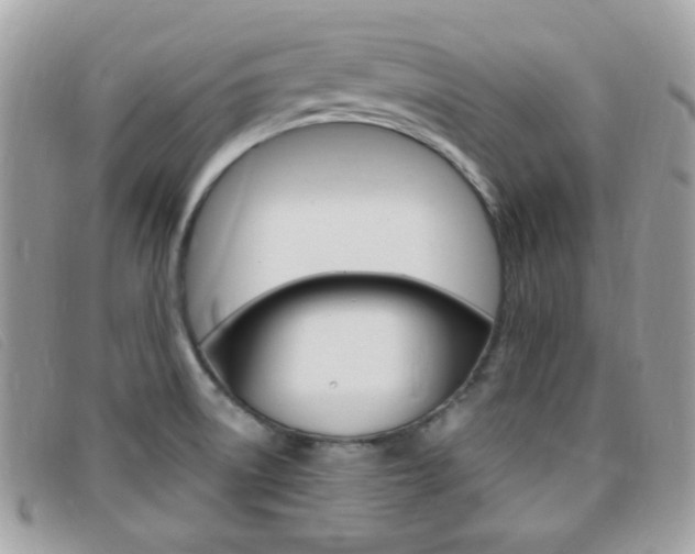 X0000095941522200801110843