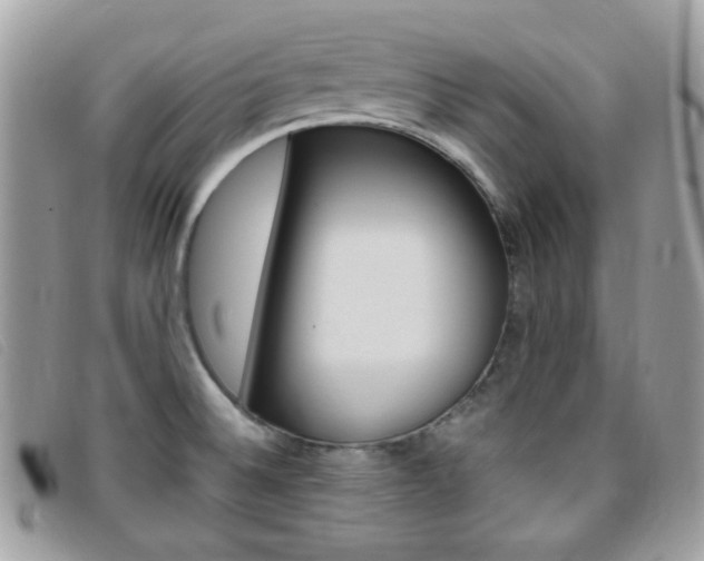 X0000095941524200801110843