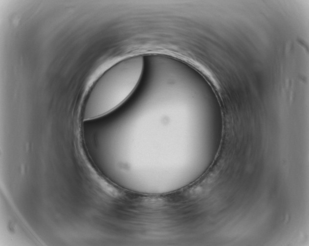 X0000095941525200801110843