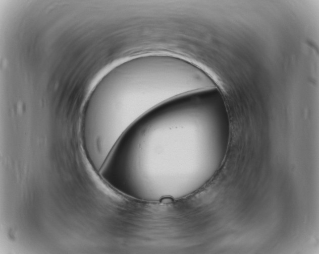 X0000095941526200801110843