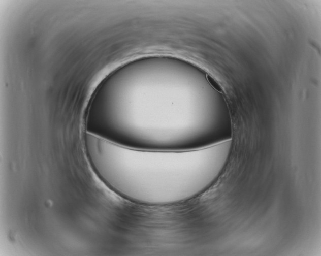 X0000095941527200801110843