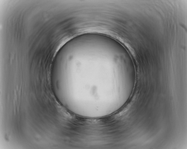 X0000095941529200801110843