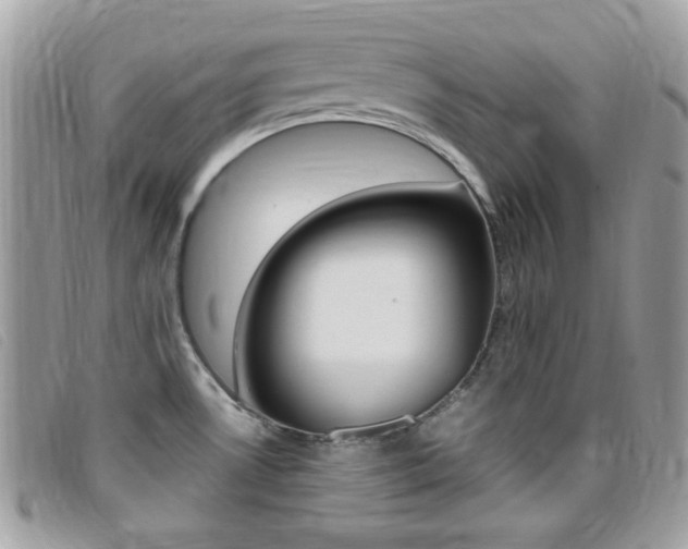 X0000095941530200801110843