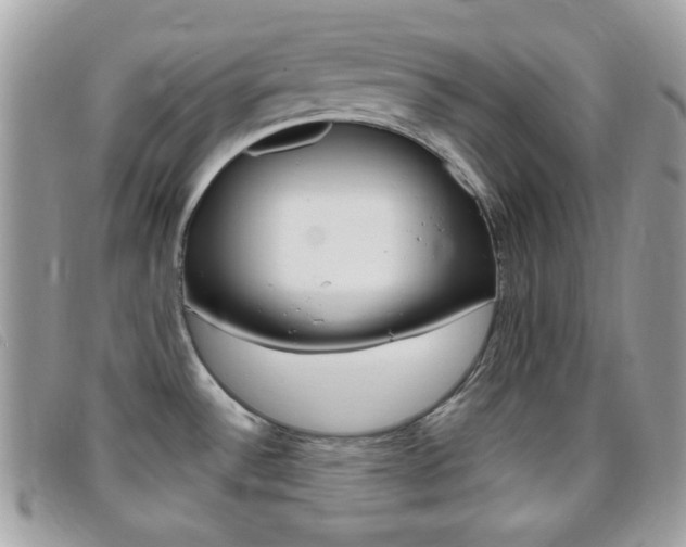 X0000095941532200801110844