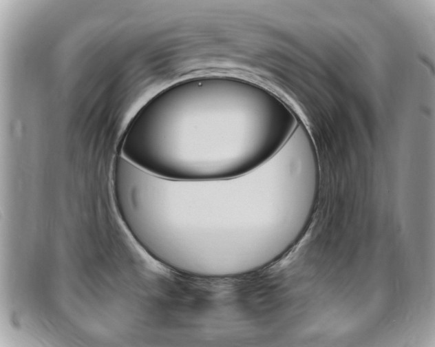 X0000095941533200801110844