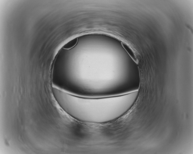 X0000095941534200801110844