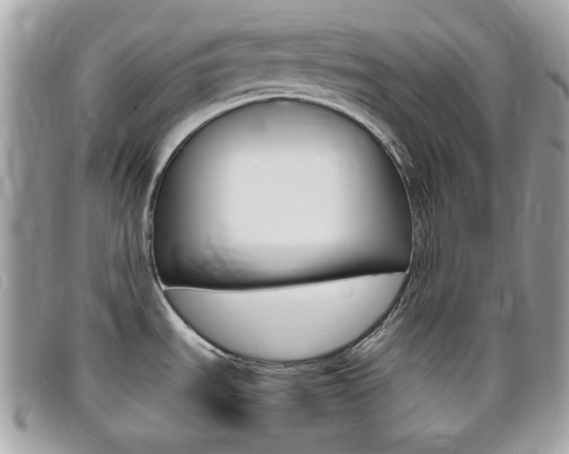 X0000095941535200801110844