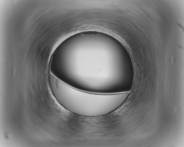 X0000095941536200801110844