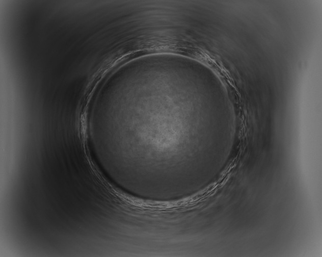 X0000095940002200801111339