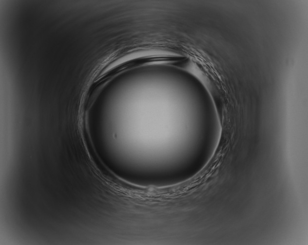 X0000095940003200801111339