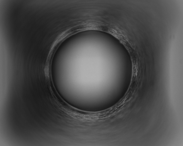 X0000095940004200801111339