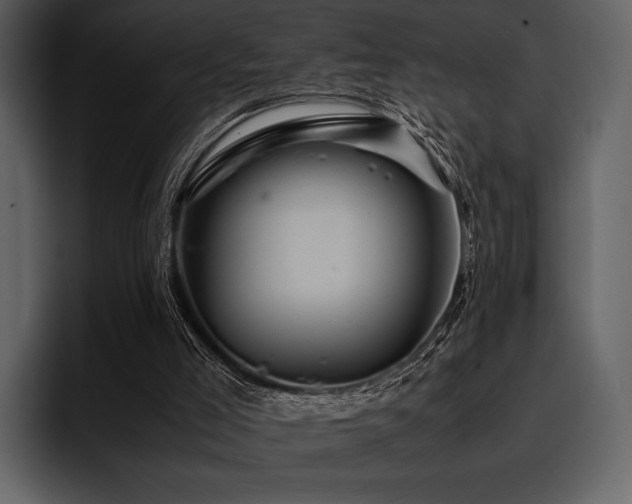 X0000095940005200801111339