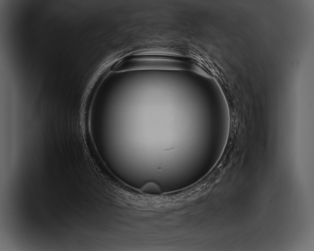 X0000095940006200801111339