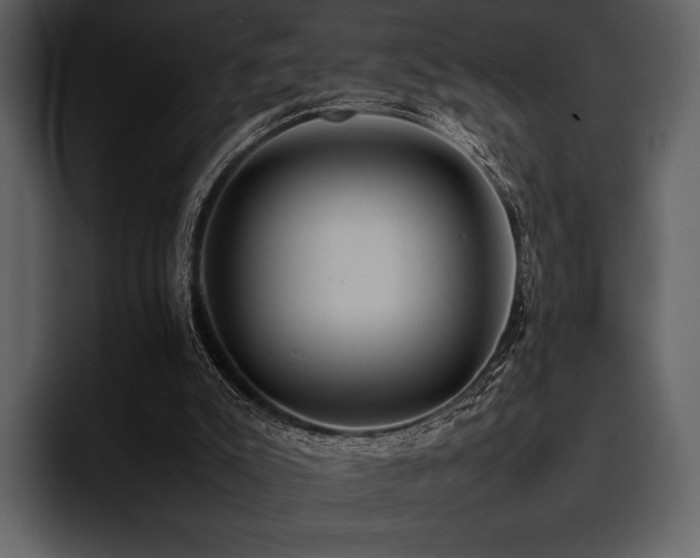 X0000095940007200801111339