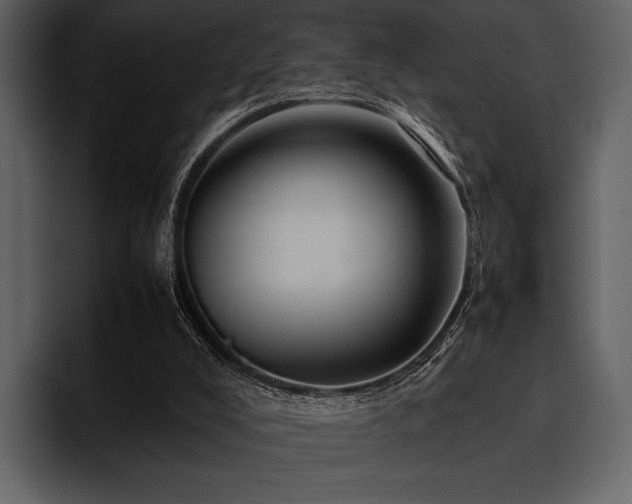 X0000095940008200801111339